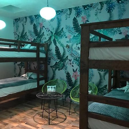 Hoja Santa Hostal Boutique Cholula Ngoại thất bức ảnh